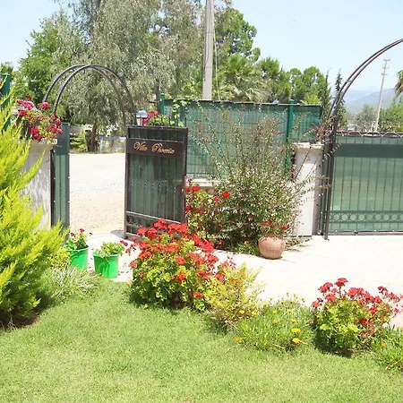 Phoenix - 2 * Fethiye