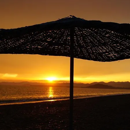 Phoenix - 2 * Fethiye